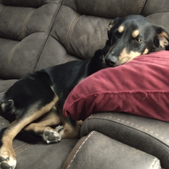 Meet your Posher, Cindy - Picture 3 of 11